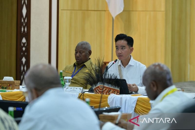 Papua Bukan Tempat Pengasingan, Wapres Minta Semua Daerah Dipandang Setara